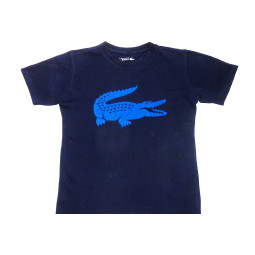 Tee shirt LACOSTE - 14 ans