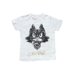 Tee shirt ZARA - 5 ans