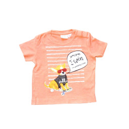 Tee Shirt ZARA - 6/9 mois