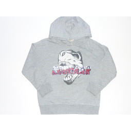 Sweat ZARA - 6 ans