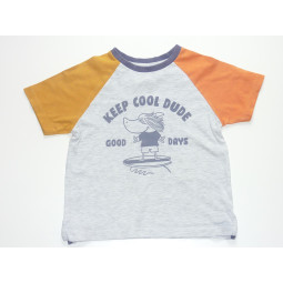 Tee shirt VERT BAUDET - 5 ans